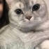 Acil değil doğru yuva fotoğraf