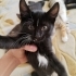 Ying yang bebe için ACİL YUVA fotoğraf