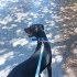 Ücretsiz sahiplenme doberman fotoğraf
