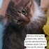 Acil yavrulara yuva fotoğraf