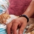 Çok acil yuva arıyorum fotoğraf