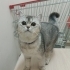 Damla dedim çünkü terkedildiği için ağlıyor fotoğraf