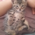 Bu tatlılara aile olur musunuz fotoğraf