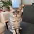Acil ömürlük yuvasını arıyor fotoğraf