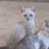 3 aylık bebeğimiz fotoğraf