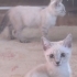 3 aylık bebeğimiz fotoğraf
