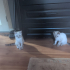 3 aylık diğer bebeğimiz fotoğraf