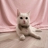 SOKAĞA ATILAN YAVRUMUZ fotoğraf