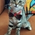 LEOPAR DESENLİ KIZIMIZ PELİN..!! fotoğraf