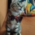LEOPAR DESENLİ KIZIMIZ PELİN..!! fotoğraf