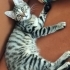 LEOPAR DESENLİ KIZIMIZ PELİN..!! fotoğraf