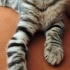 LEOPAR DESENLİ KIZIMIZ PELİN..!! fotoğraf
