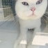Bu güzel çocuk barınakta mı kalsın fotoğraf