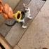 insancıl, neşeli, oyuncu fotoğraf