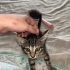 Sokakta bulunmus fotoğraf