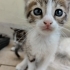 Oyuncu yavrumuza yuva arıyoruz. fotoğraf