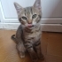 LİLA İÇİN YUVA OLUR MUSUN🥹 fotoğraf