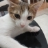 TOMBİK İÇİN YUVA OLUR MUSUN🥹 fotoğraf