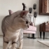 KALICI YUVA ARIYORUZ fotoğraf