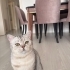 KALICI YUVA ARIYORUZ fotoğraf