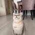 KALICI YUVA ARIYORUZ fotoğraf