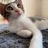 3 aylık bebeğime yuva arıyorum fotoğraf