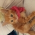 Şirin Portakallı Kek fotoğraf