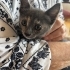 Acil Yuva Arıyoruz fotoğraf
