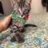 Çok insancıl bir bebek acil yuva arıyor fotoğraf