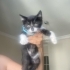 Minik smokin kız acil yuva arıyor fotoğraf