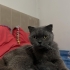 ACİL YUVA ARIYORUZ fotoğraf