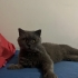 ACİL YUVA ARIYORUZ fotoğraf