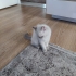 Mavi Gözlü Beyaz Kız fotoğraf