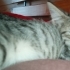 Pozitif enerji abidesi fotoğraf