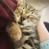 Annesi bırakmış saldırıya uğramış fotoğraf