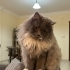 Bir Garip KIRPIK fotoğraf