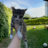 Geçici yerinden acil yuva fotoğraf