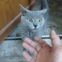 Òyle guzel akıllı ki ama terk edildi fotoğraf