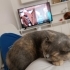 Kızımıza Ömürlük yuva fotoğraf