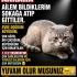 AYLARDIR BİR DEPODA KAPALI YAŞIYORUM,LÜTFEN YUVAM OLUN fotoğraf