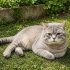 AYLARDIR BİR DEPODA KAPALI YAŞIYORUM,LÜTFEN YUVAM OLUN fotoğraf