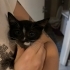 Minik bebek smokin keddy fotoğraf