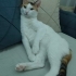Oyuncu sevecen kendini sevdiren fotoğraf