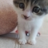 Şanslı kız size gelsin mi fotoğraf