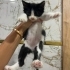 Biricik Bebeğimiz Ömürlük Yuvasını Arıyor! fotoğraf