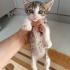 Minik adam büyümüyor minik kaldı fotoğraf