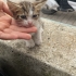 Minik adam büyümüyor minik kaldı fotoğraf