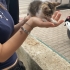 Minik adam büyümüyor minik kaldı fotoğraf