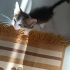 Minik adam büyümüyor minik kaldı fotoğraf