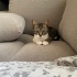 Annesiz kaldı çok minik fotoğraf